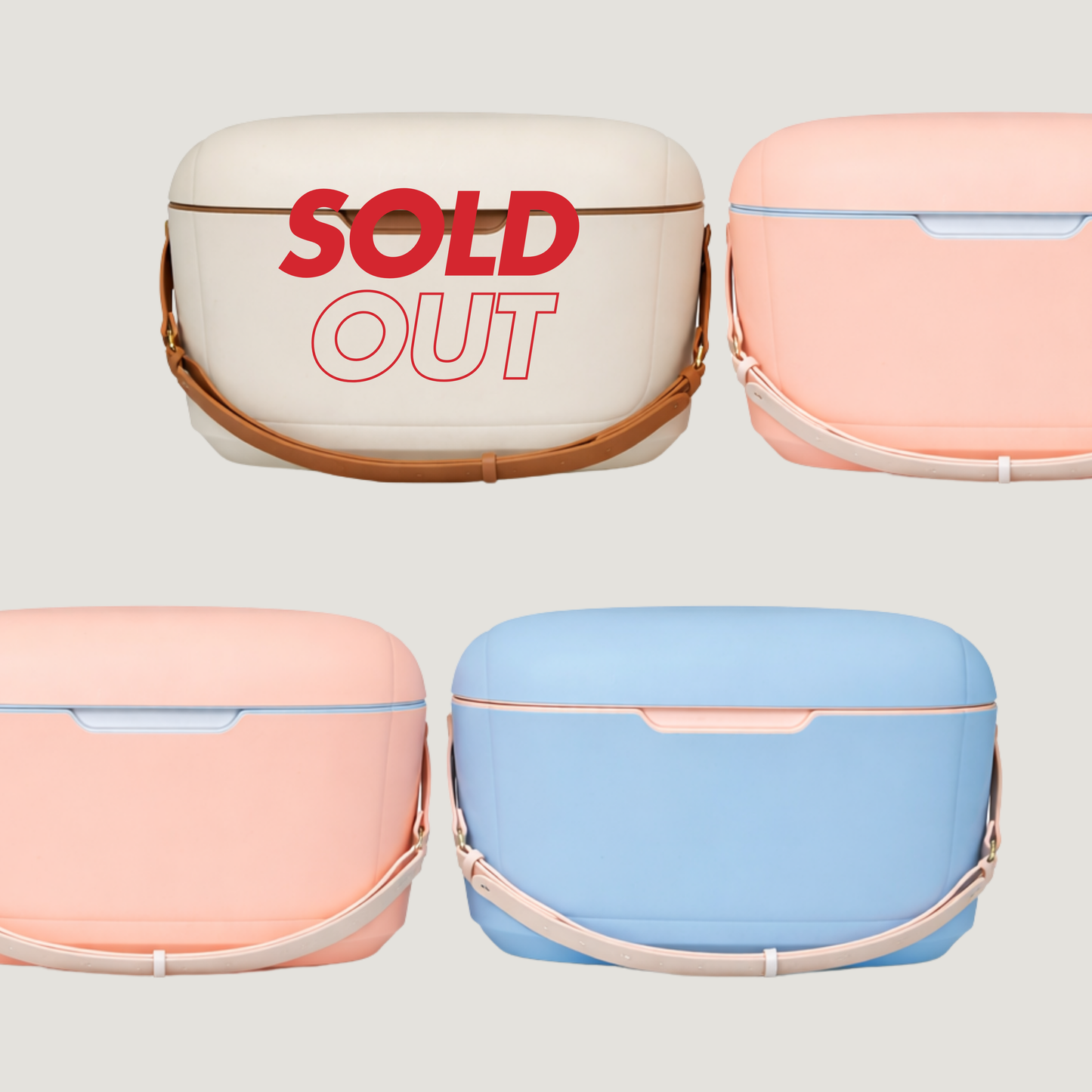 Blerrie Cooler 18L FREE SHIPPING